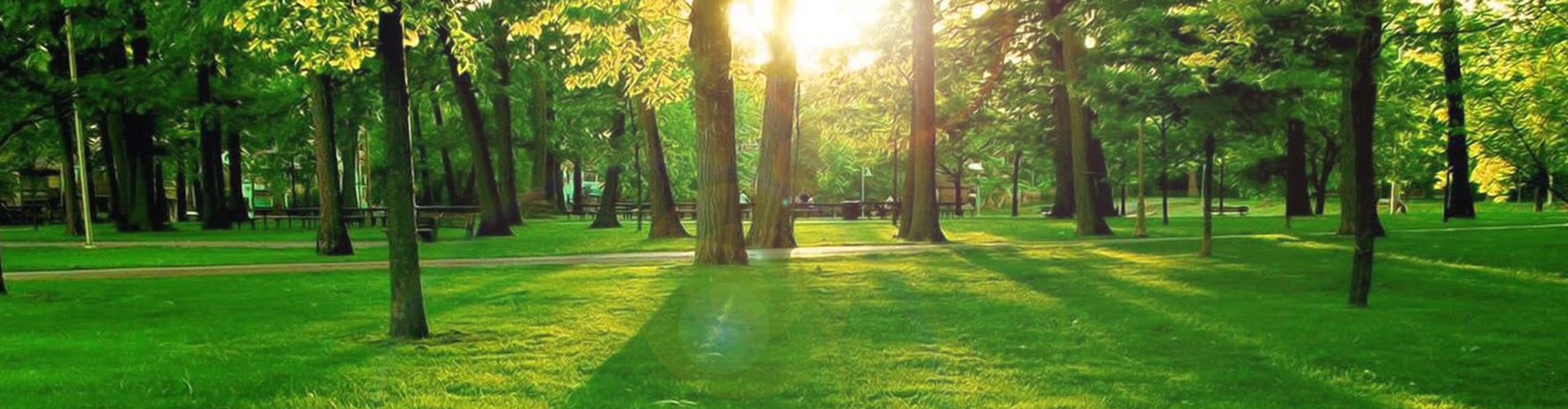 文化環(huán)境|湯溪高級(jí)中學(xué)