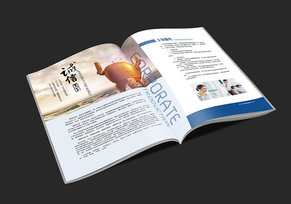 企業(yè)產(chǎn)品畫冊設(shè)計(jì)
