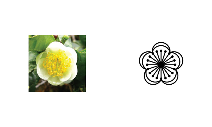 茶葉品牌vi設計