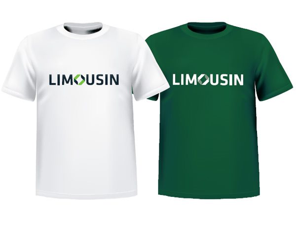 北京旅游景區(qū)品牌標(biāo)志vi包裝設(shè)計(jì)公司